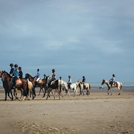 In Koksijde With Stunning Sea Views, Cleaning Included * Sint-Idesbald
